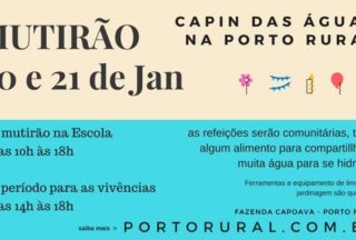 Mutirão da CAPIN das Águas