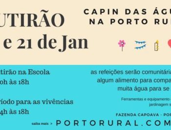 Mutirão da CAPIN das Águas